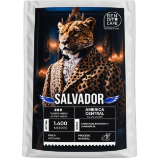 Salvador